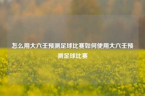 怎么用大六壬预测足球比赛如何使用大六壬预测足球比赛