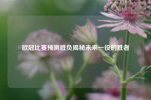 欧冠比赛预测胜负揭秘未来一役的胜者
