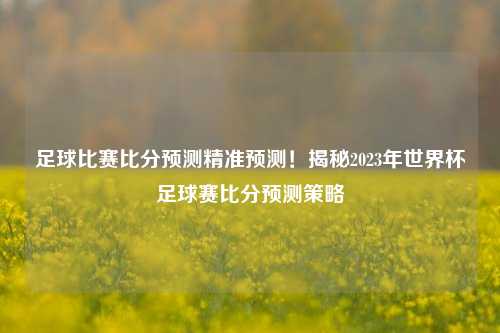 足球比赛比分预测精准预测！揭秘2023年世界杯足球赛比分预测策略