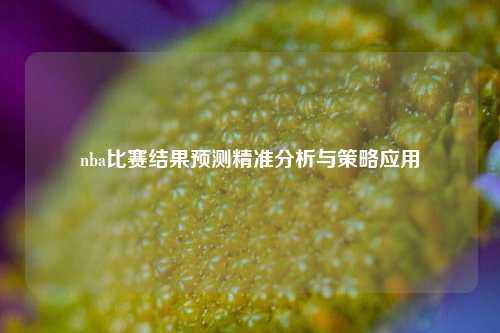 nba比赛结果预测精准分析与策略应用