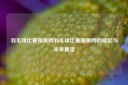 羽毛球比赛预测网羽毛球比赛预测网的崛起与未来展望