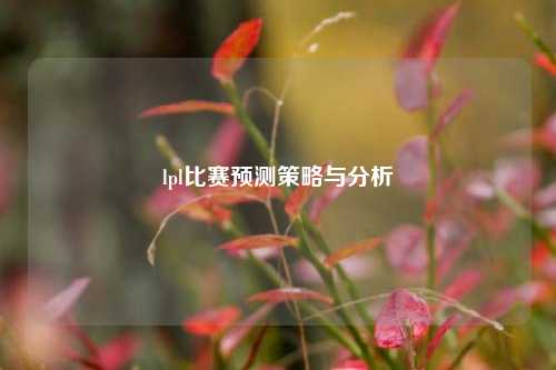 lpl比赛预测策略与分析