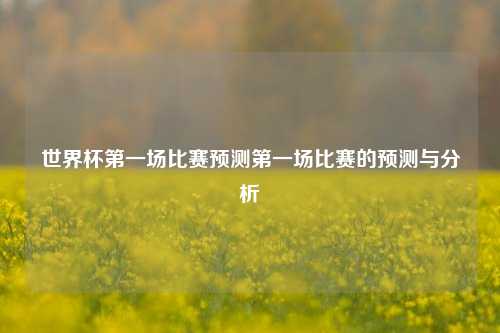 世界杯第一场比赛预测第一场比赛的预测与分析