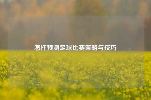 怎样预测足球比赛策略与技巧
