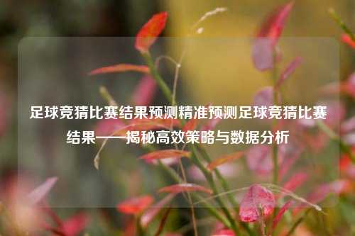 足球竞猜比赛结果预测精准预测足球竞猜比赛结果——揭秘高效策略与数据分析