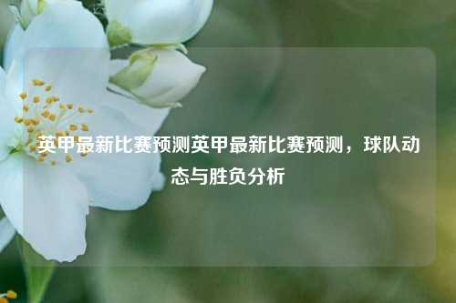 英甲最新比赛预测英甲最新比赛预测，球队动态与胜负分析
