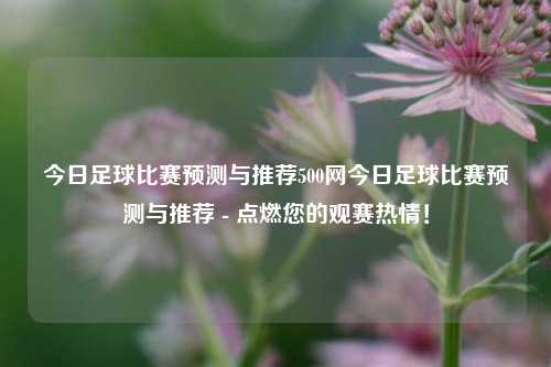 今日足球比赛预测与推荐500网今日足球比赛预测与推荐 - 点燃您的观赛热情！