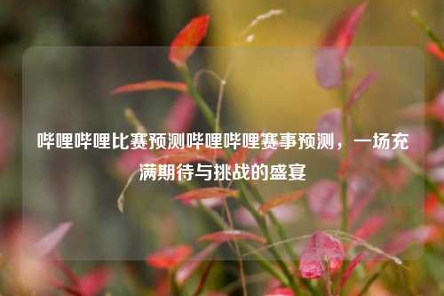 哔哩哔哩比赛预测哔哩哔哩赛事预测，一场充满期待与挑战的盛宴