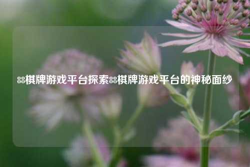 88棋牌游戏平台探索88棋牌游戏平台的神秘面纱
