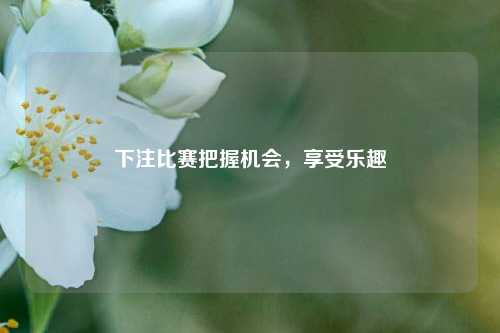 下注比赛把握机会，享受乐趣
