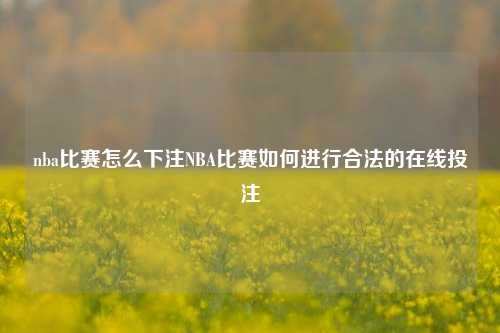 nba比赛怎么下注NBA比赛如何进行合法的在线投注