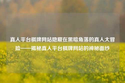 真人平台棋牌网站隐藏在黑暗角落的真人大冒险——揭秘真人平台棋牌网站的神秘面纱