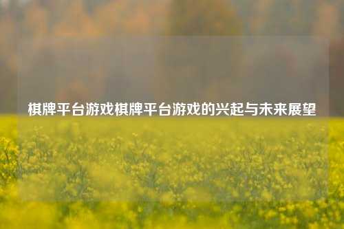 棋牌平台游戏棋牌平台游戏的兴起与未来展望