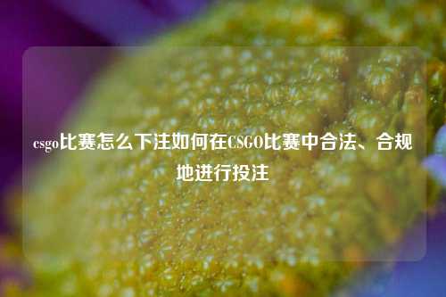 csgo比赛怎么下注如何在CSGO比赛中合法、合规地进行投注