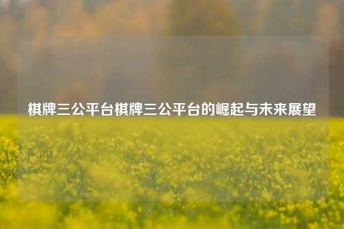 棋牌三公平台棋牌三公平台的崛起与未来展望