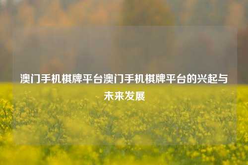 澳门手机棋牌平台澳门手机棋牌平台的兴起与未来发展