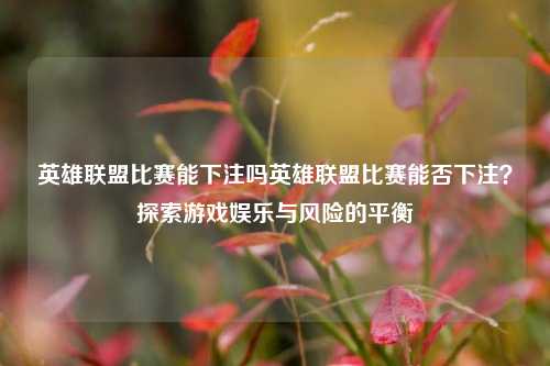 英雄联盟比赛能下注吗英雄联盟比赛能否下注？探索游戏娱乐与风险的平衡