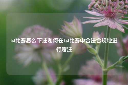 lol比赛怎么下注如何在Lol比赛中合法合规地进行赌注