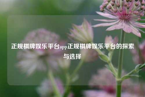 正规棋牌娱乐平台app正规棋牌娱乐平台的探索与选择