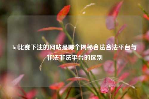 lol比赛下注的网站是哪个揭秘合法合法平台与非法非法平台的区别