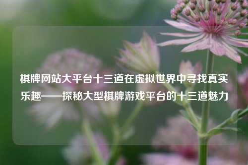 棋牌网站大平台十三道在虚拟世界中寻找真实乐趣——探秘大型棋牌游戏平台的十三道魅力