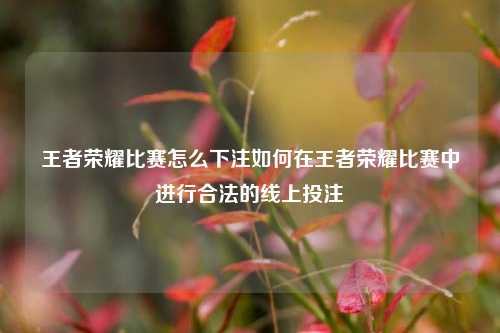 王者荣耀比赛怎么下注如何在王者荣耀比赛中进行合法的线上投注