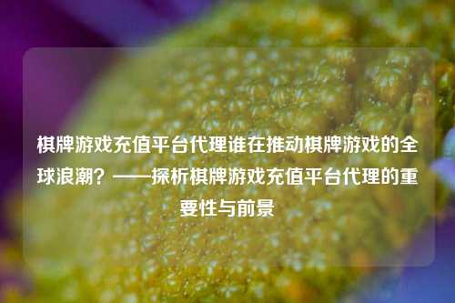 棋牌游戏充值平台代理谁在推动棋牌游戏的全球浪潮？——探析棋牌游戏充值平台代理的重要性与前景