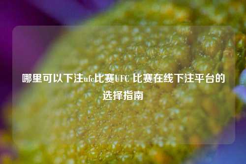 哪里可以下注ufc比赛UFC 比赛在线下注平台的选择指南