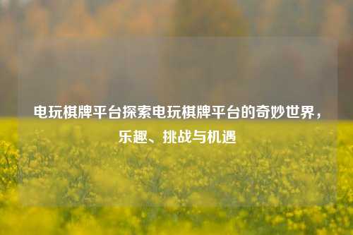 电玩棋牌平台探索电玩棋牌平台的奇妙世界，乐趣、挑战与机遇