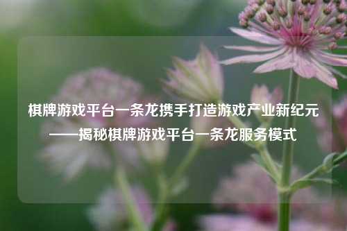 棋牌游戏平台一条龙携手打造游戏产业新纪元——揭秘棋牌游戏平台一条龙服务模式
