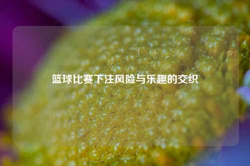 篮球比赛下注风险与乐趣的交织