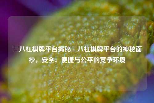 二八杠棋牌平台揭秘二八杠棋牌平台的神秘面纱，安全、便捷与公平的竞争环境
