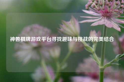 神兽棋牌游戏平台寻找趣味与挑战的完美结合