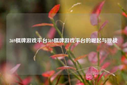 369棋牌游戏平台369棋牌游戏平台的崛起与挑战