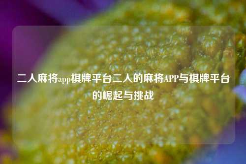 二人麻将app棋牌平台二人的麻将APP与棋牌平台的崛起与挑战