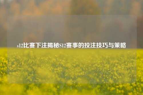 s12比赛下注揭秘S12赛事的投注技巧与策略