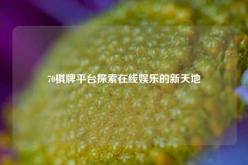 70棋牌平台探索在线娱乐的新天地