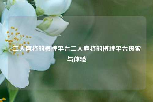二人麻将的棋牌平台二人麻将的棋牌平台探索与体验