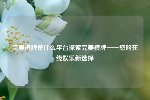 完美棋牌是什么平台探索完美棋牌——您的在线娱乐新选择