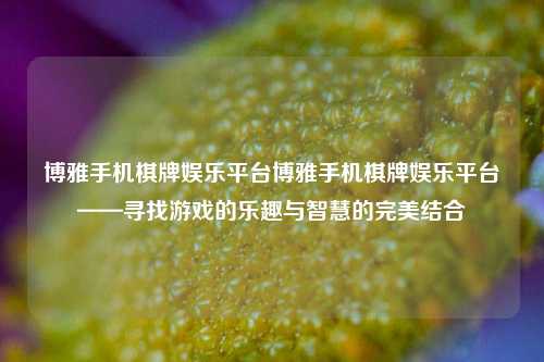 博雅手机棋牌娱乐平台博雅手机棋牌娱乐平台——寻找游戏的乐趣与智慧的完美结合