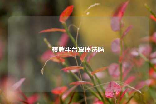 棋牌平台算违法吗