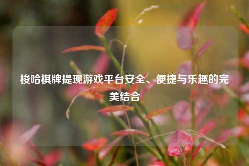 梭哈棋牌提现游戏平台安全、便捷与乐趣的完美结合