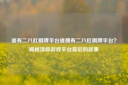 谁有二八杠棋牌平台谁拥有二八杠棋牌平台？揭秘顶级游戏平台背后的故事