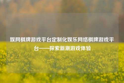 娱网棋牌游戏平台定制化娱乐网络棋牌游戏平台——探索新潮游戏体验
