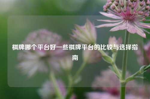 棋牌哪个平台好一些棋牌平台的比较与选择指南