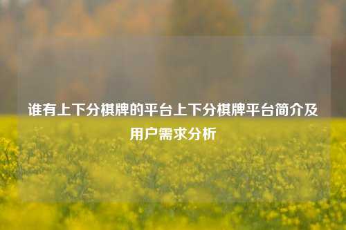谁有上下分棋牌的平台上下分棋牌平台简介及用户需求分析