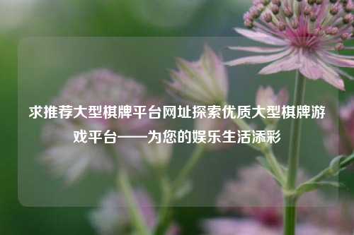 求推荐大型棋牌平台网址探索优质大型棋牌游戏平台——为您的娱乐生活添彩
