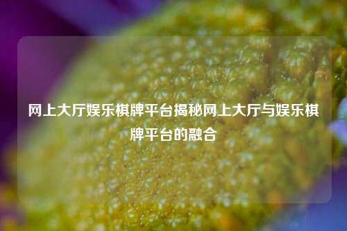 网上大厅娱乐棋牌平台揭秘网上大厅与娱乐棋牌平台的融合