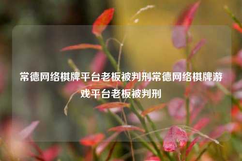 常德网络棋牌平台老板被判刑常德网络棋牌游戏平台老板被判刑