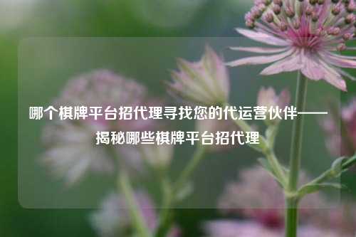 哪个棋牌平台招代理寻找您的代运营伙伴——揭秘哪些棋牌平台招代理